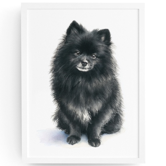 Watercolor Black Pomeranian Dog Portrait Art Print – Unframed Fine Art Poster - Picture 1 of 5
